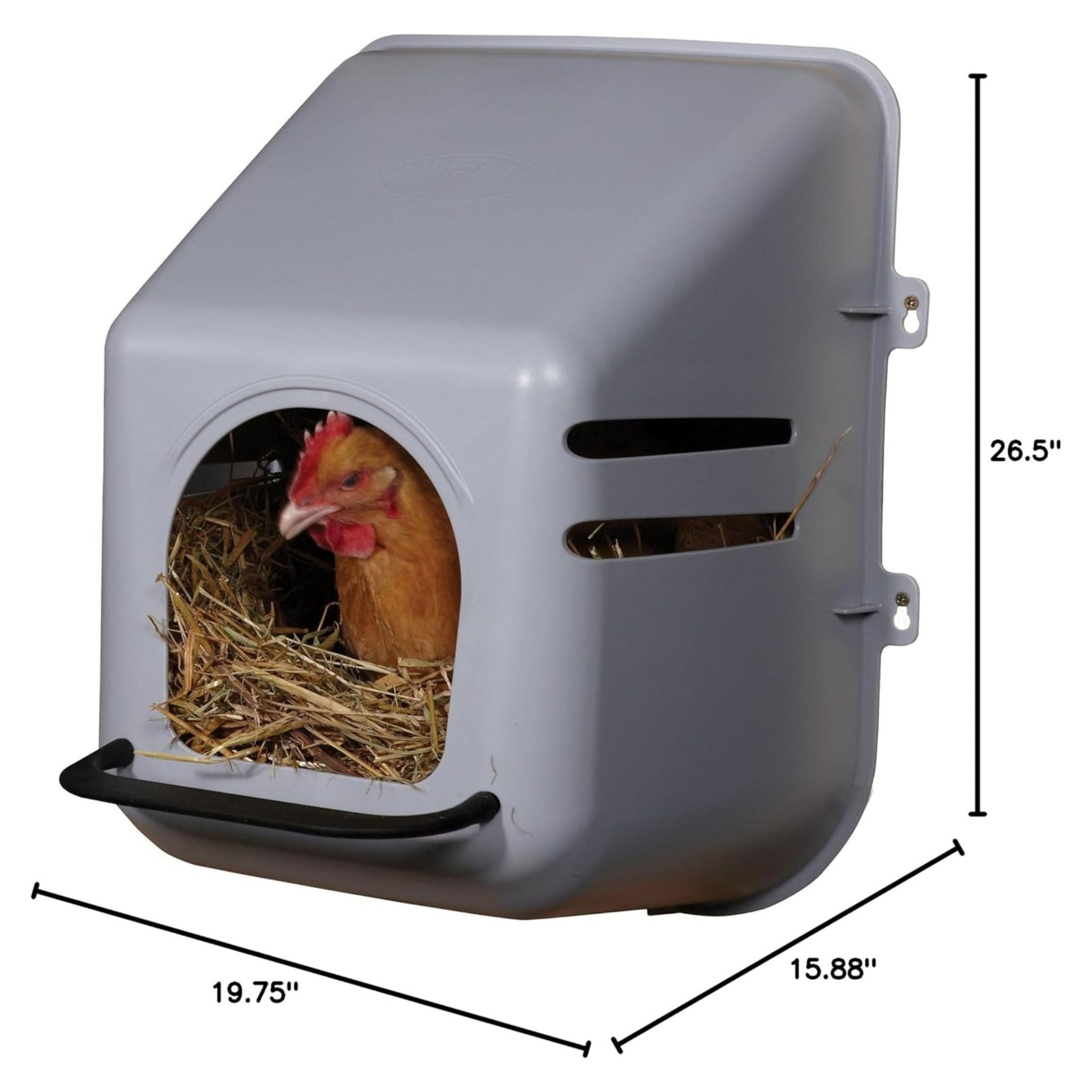 Little Giant Plastic Nesting Box - Cluck It All Farms