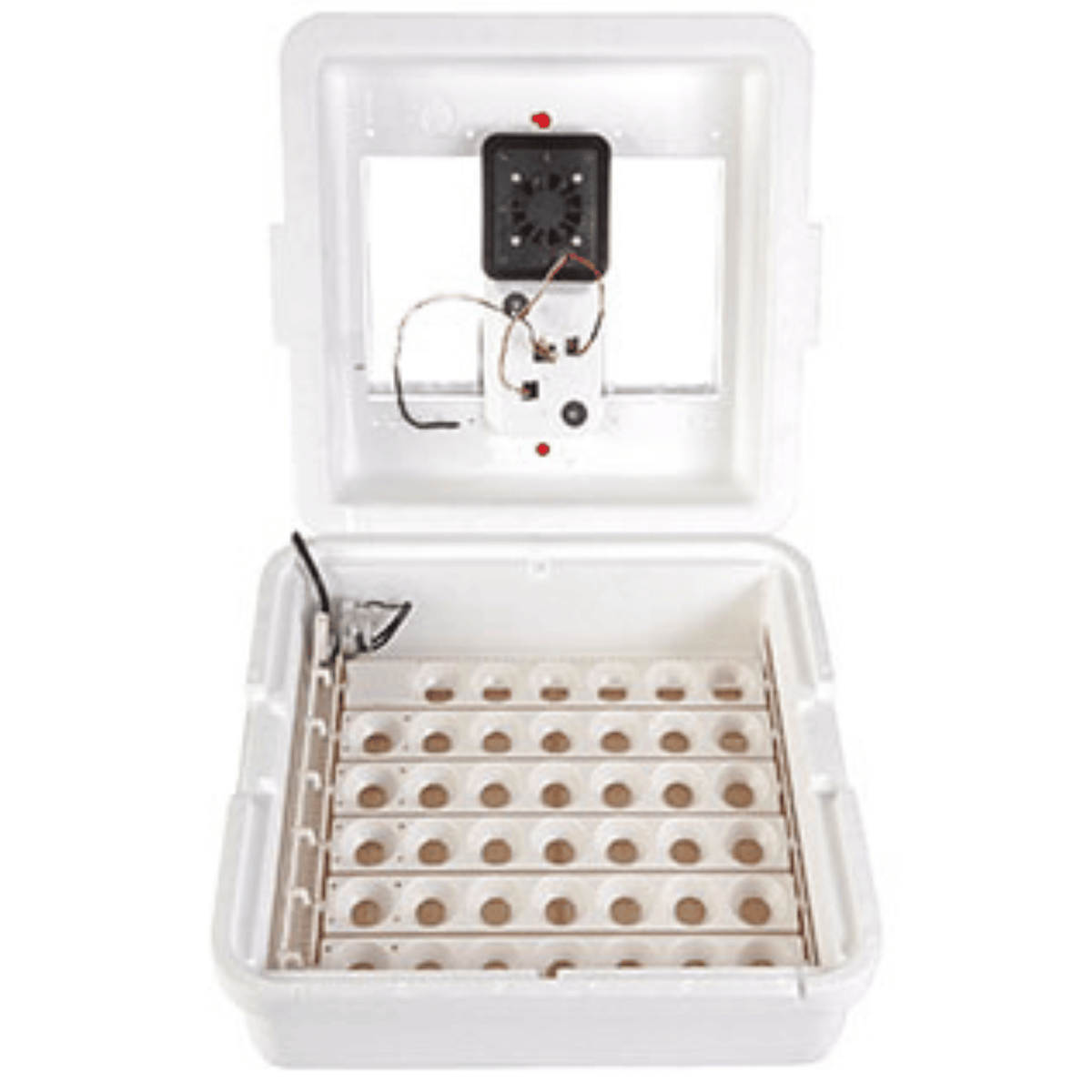 Miller Little Giant Egg Deluxe Incubator with Auto Turner - Cluck It All Farms