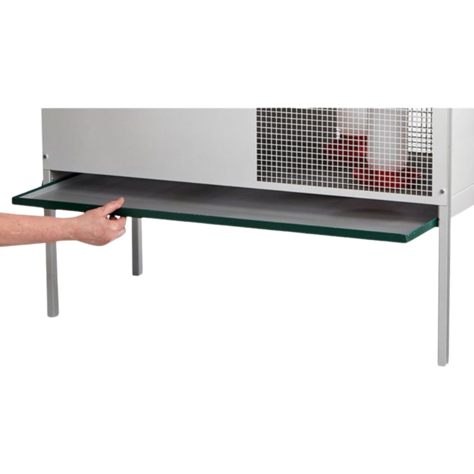 Miller Little Giant Galvanized Chick Brooder Box - Cluck It All Farms