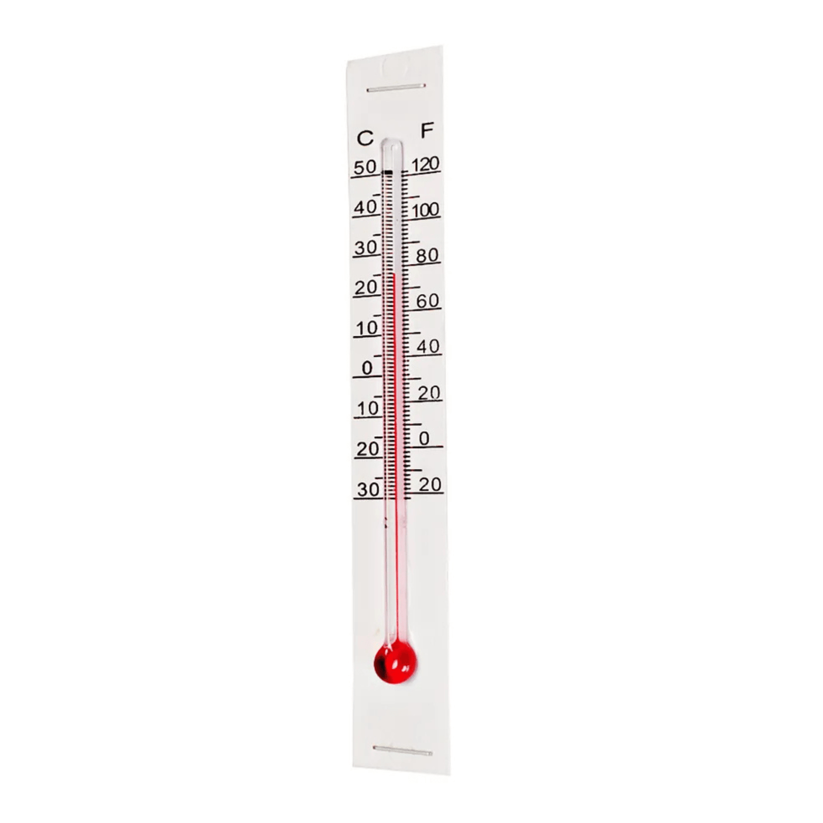 Miller Little Giant® Incubator Thermometer - Cluck It All Farms