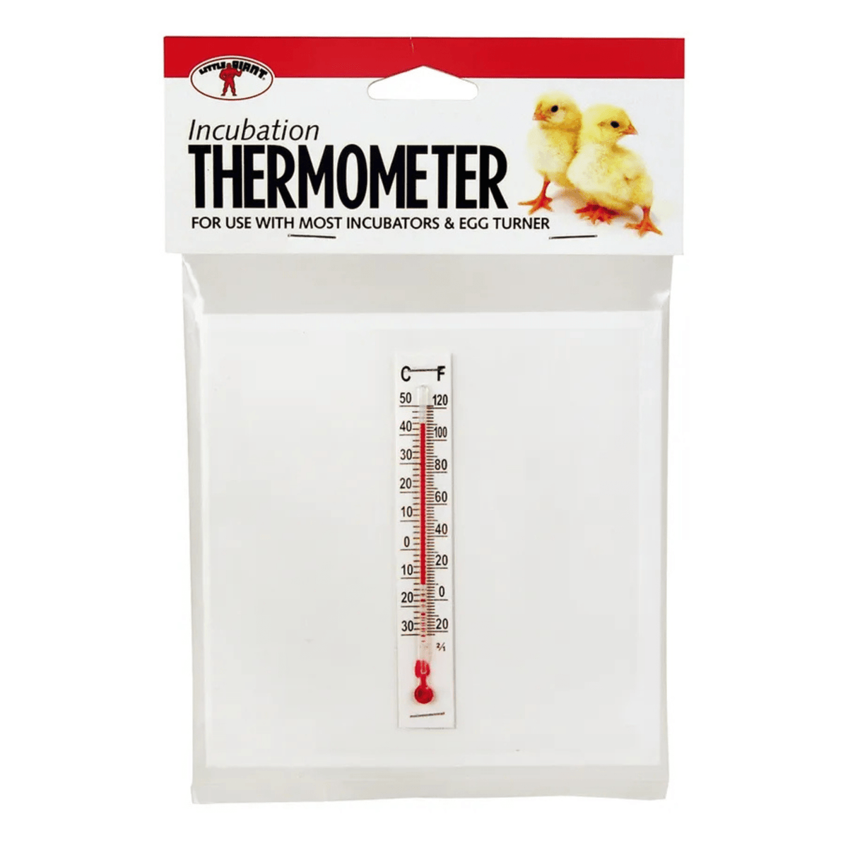 Miller Little Giant® Incubator Thermometer - Cluck It All Farms