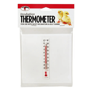 Miller Little Giant® Incubator Thermometer - Cluck It All Farms