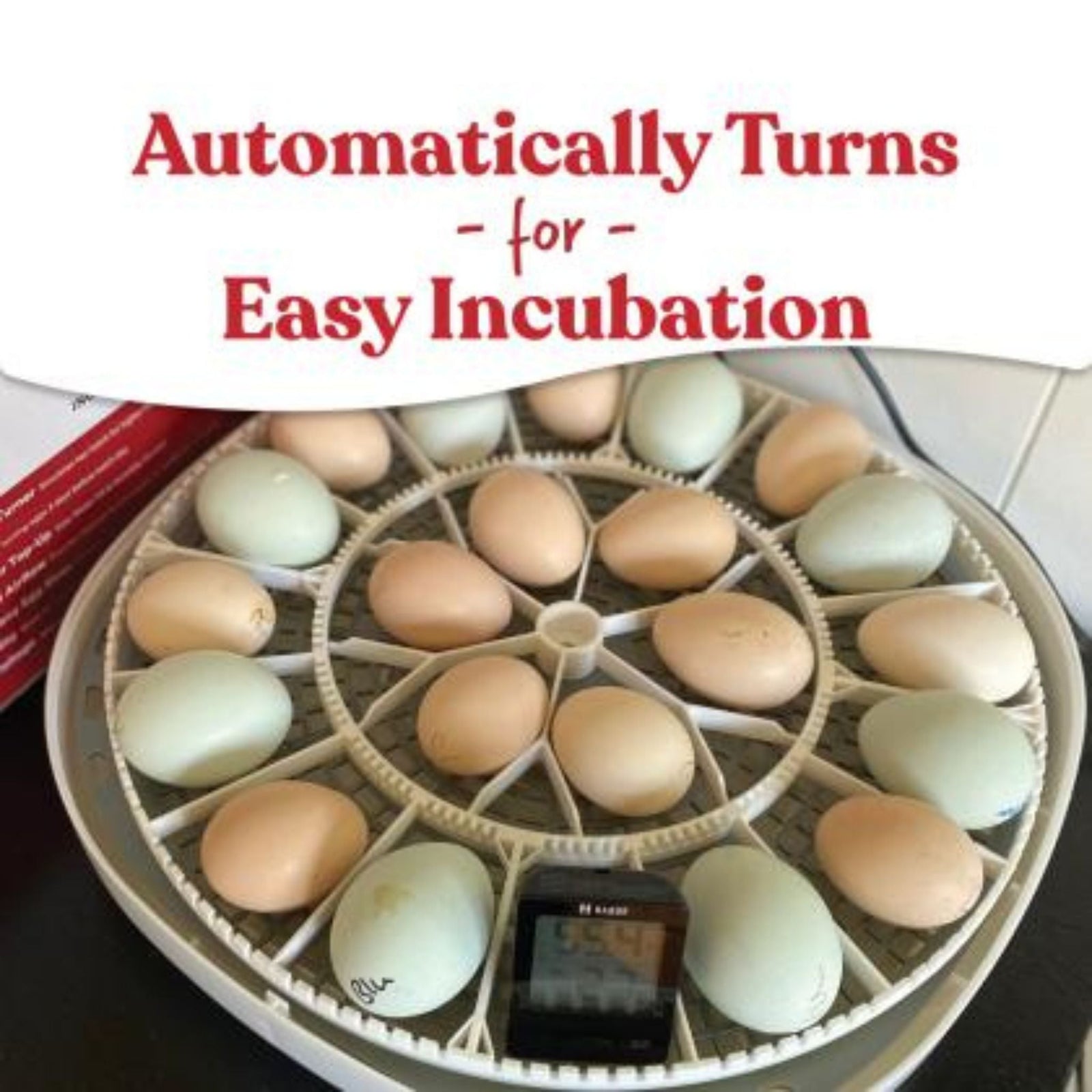 Nurture Right 360° Incubator - Cluck It All Farms