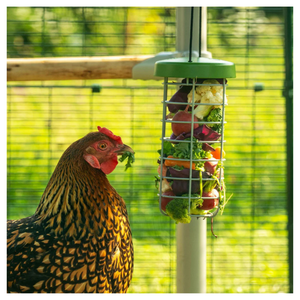 Omlet Caddi Chicken Treat Holder - Cluck It All Farms