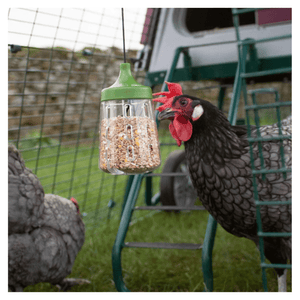 Omlet Chicken Pendant Peck Toy - Cluck It All Farms