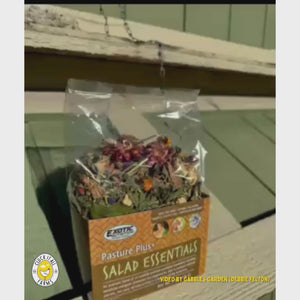 Pasture Plus+ Salad Essentials – 6 oz Herbal Chicken Treat