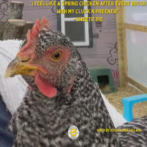 Cluckin' Preener Feather Brush