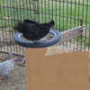 The HEN PICKED Box Video