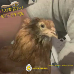 Cluckin' Preener Feather Brush