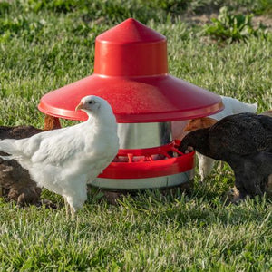 Rain Hat for Galvanized Cone Feeder - Cluck It All Farms