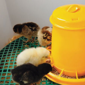 Saturn Yellow Poultry Feeder - Cluck It All Farms
