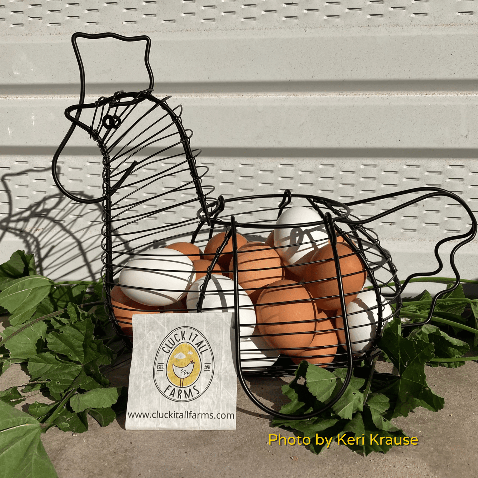 Chicken Shaped Egg Basket - Cluck It All Farms