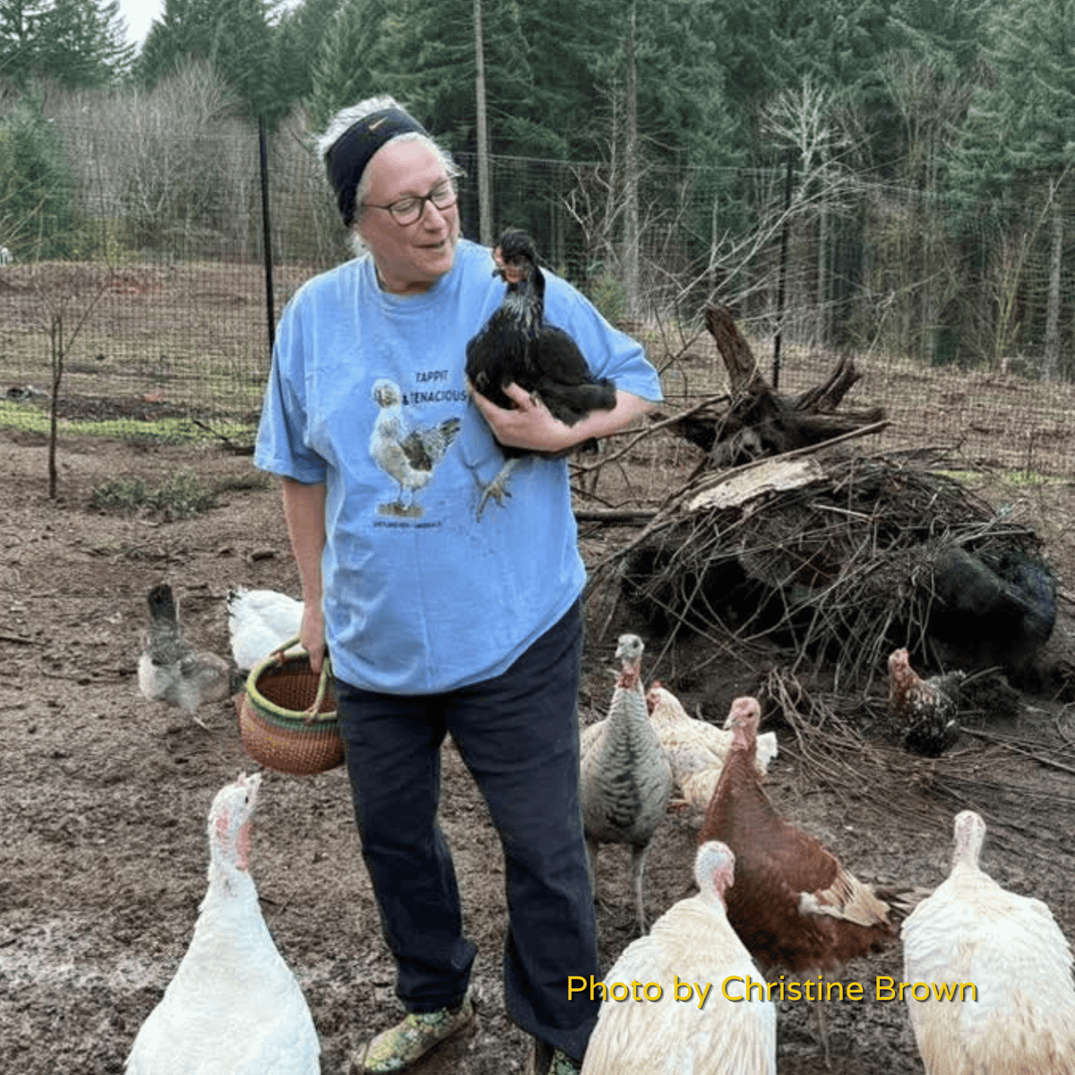 Shetland Hen Chicken Tee — “Tappit & Tenacious” - Cluck It All Farms
