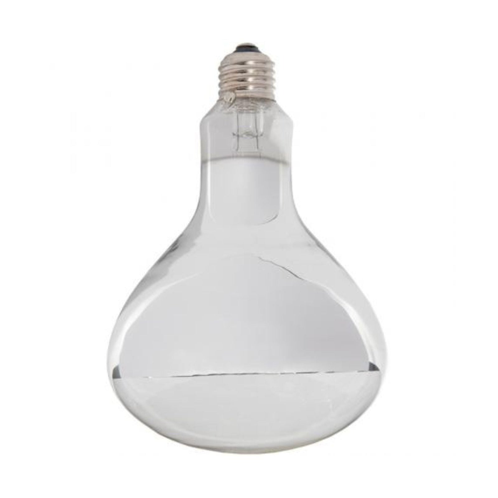 Smooth Glass Clear Heat Lamp Bulbs 2pk 250 watt - Cluck It All Farms