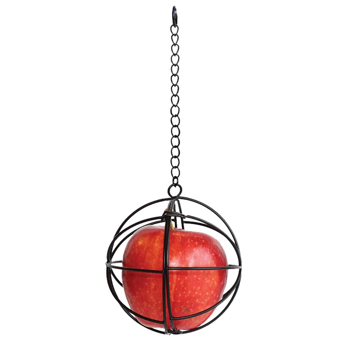 Hanging Chicken Treat Ball