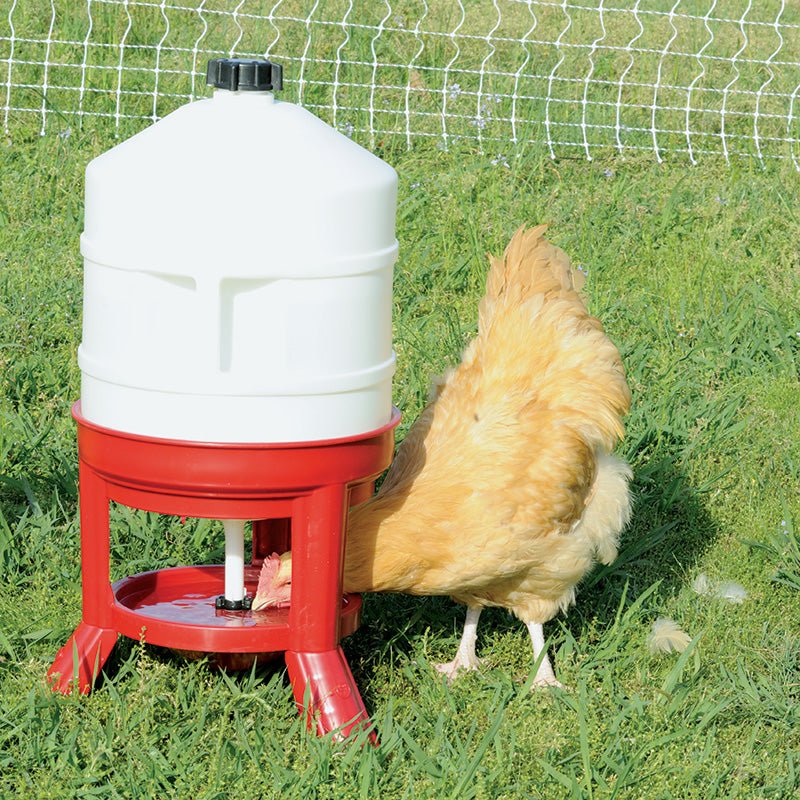 Tri - Pod Poultry Waterer - Cluck It All Farms