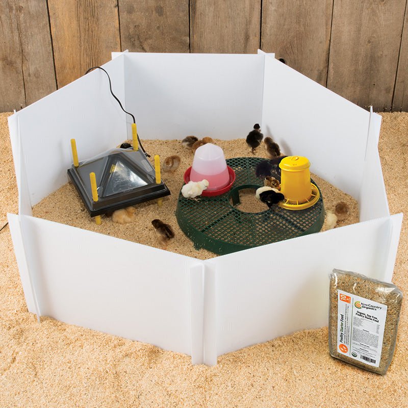 Chick Starter Kit With Heat Plate - Cluck It All Farms
